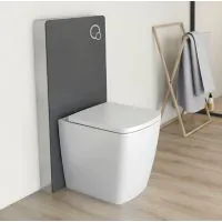 Essentials Ravine Back to Wall Short Projection Rimless Comfort Height WC - 0