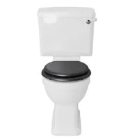 Hatton Dual Flush Cistern Optimizes Efficiency in Bathrooms - 1