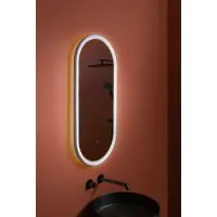 OVAL Mirror With Light - 1