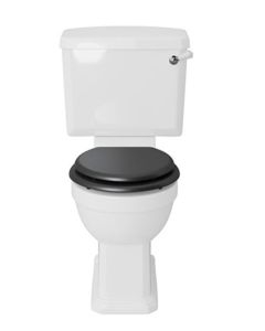 Hatton Dual Flush Cistern Optimizes Efficiency in Bathrooms