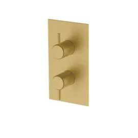 Hoxton Shower Mixer with Diverter - Brushed Brass