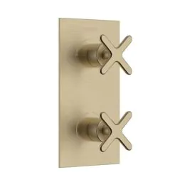 Salcombe 1 Outlet 2 Handle Concealed Brass shower valve