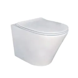 Essentials Arco 520mm Rimless Back To Wall Pan