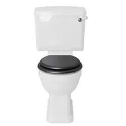 Hatton Dual Flush Cistern Optimizes Efficiency in Bathrooms